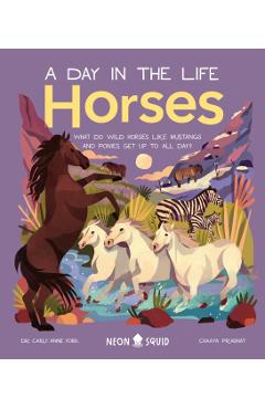 Horses (a Day in the Life): What Do Wild Horses Like Mustangs and Ponies Get Up to All Day? - Carly Anne York