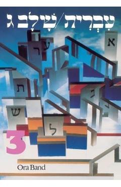 Hebrew: A Language Course: Level 3 Shlav Gimmel - Behrman House