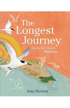 The Longest Journey: An Arctic Tern\'s Migration - Amy Hevron