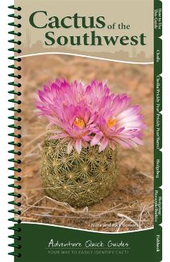 Cactus of the Southwest: Your Way to Easily Identify Cacti - Nora Bowers
