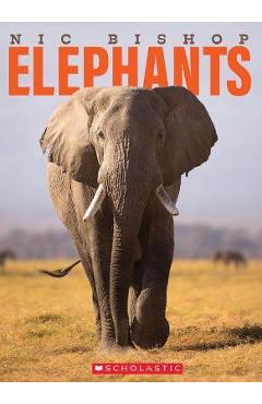 Nic Bishop Elephants - Nic Bishop