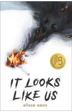 It Looks Like Us - Alison Ames