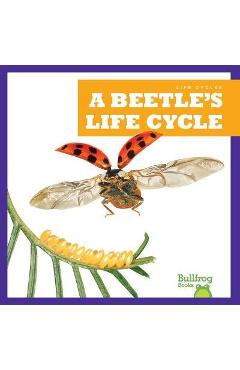A Beetle\'s Life Cycle - Jamie Rice