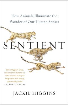 Sentient: How Animals Illuminate the Wonder of Our Human Senses - Jackie Higgins