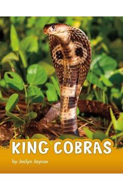 King Cobras - Jaclyn Jaycox
