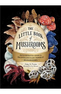 The Little Book of Mushrooms: An Illustrated Guide to the Extraordinary Power of Mushrooms - Alex Dorr