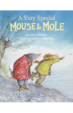 A Very Special Mouse and Mole - Joyce Dunbar