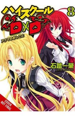 High School DXD, Vol. 8 (Light Novel): A Demon\'s Work - Ichiei Ishibumi