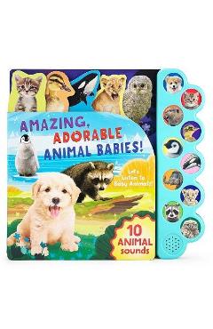 Amazing, Adorable Animal Babies! - Parragon Books