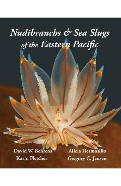 Nudibranchs & Sea Slugs of the Eastern Pacific - David W. Behrens