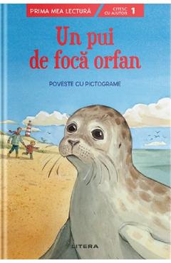Un pui de foca orfan. Poveste cu pictograme. Nivelul 1