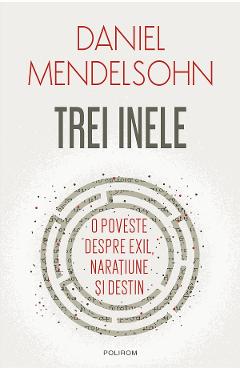 eBook Trei inele. O poveste despre exil, naratiune si destin - Daniel Mendelsohn