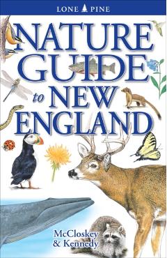 Nature Guide to New England - Erin Mccloskey