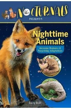 The Nocturnals Nighttime Animals: Awesome Features & Surprising Adaptations: Nonfiction Early Reader - Tracey Hecht