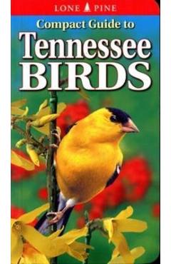 Compact Guide to Tennessee Birds - Michael Roedel