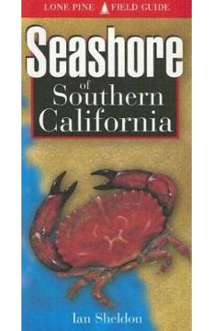 Seashore of Southern California - Ian Sheldon