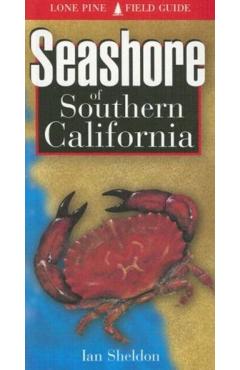 Seashore of Southern California - Ian Sheldon