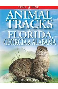 Animal Tracks of Florida, Georgia, Alabama - Ian Sheldon