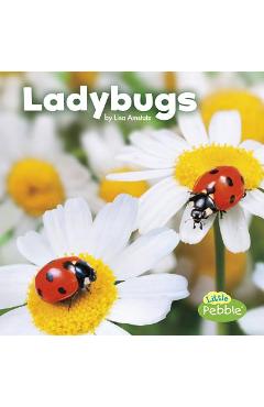 Ladybugs - Lisa J. Amstutz