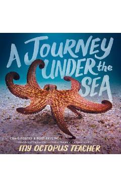 A Journey Under the Sea - Craig Foster