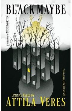 The Black Maybe: Liminal Tales - Attila Veres