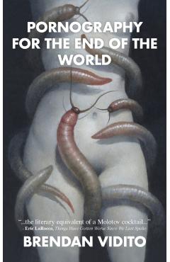 Pornography for the End of the World - Brendan Vidito