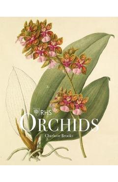 Rhs Orchids - Charlotte Brooks
