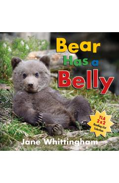 Bear Has a Belly - Jane Whittingham