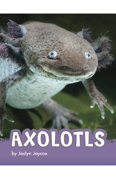 Axolotls - Jaclyn Jaycox