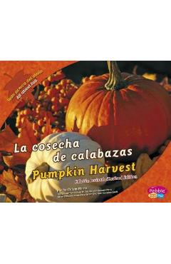 La Cosecha de Calabazas/Pumpkin Harvest - Calvin Harris
