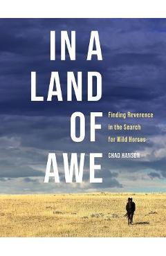 In a Land of Awe: Finding Reverence in the Search for Wild Horses - Chad Hanson