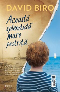 eBook Aceasta splendida mare pestrita - David Biro