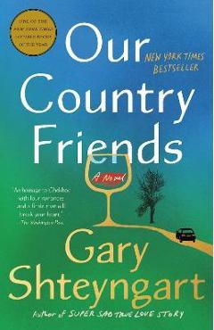 Our Country Friends - Gary Shteyngart - Imagine 1