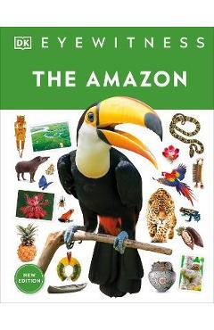 The Amazon - Dk