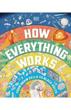 How Everything Works: From Brain Cells to Black Holes - Dk