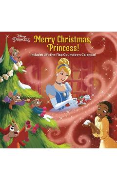 Merry Christmas, Princess! (Disney Princess) - Nicole Johnson