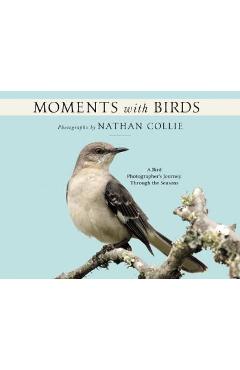 Moments with Birds: A Bird Photographer\'s Journey Through the Seasons - Nathan Collie