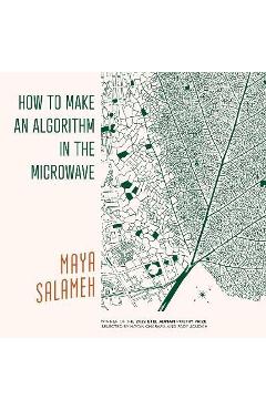 How to Make an Algorithm in the Microwave - Maya Salameh