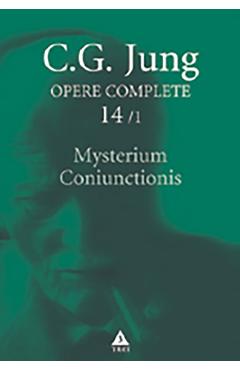 eBook Mysterium Coniunctionis. Opere Complete Vol.14/1 - C.G. Jung