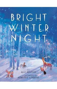 Bright Winter Night - Alli Brydon