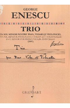 Trio in sol minor pentru pian, vioara si violoncel (1897) – George Enescu (1897) poza bestsellers.ro