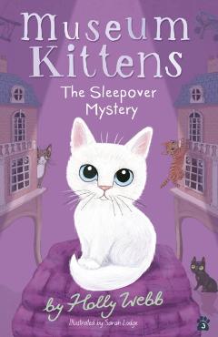 The Sleepover Mystery - Holly Webb