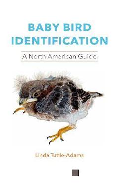 Baby Bird Identification: A North American Guide - Linda Tuttle-adams
