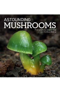 Astounding mushrooms - jaroslav maly