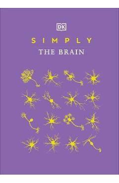 Simply the Brain - Dk