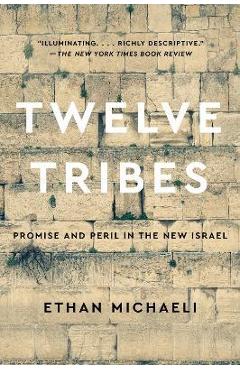 Twelve Tribes: Promise and Peril in the New Israel - Ethan Michaeli