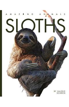 Sloths - Valerie Bodden