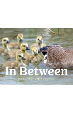 In Between - April Pulley Sayre