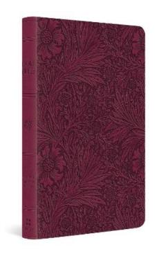ESV Large Print Value Thinline Bible (Trutone, Raspberry, Floral Design) -