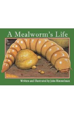 A Mealworm\'s Life - John Himmelman